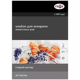 Альбом-склейка для акварели Гамма "Старый Мастер" А3 20л 300г сатин 100% хлопок
