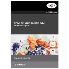 Альбом-склейка для акварели Гамма "Старый Мастер" А5 20 л 300 г, сатин, 100% хлопок