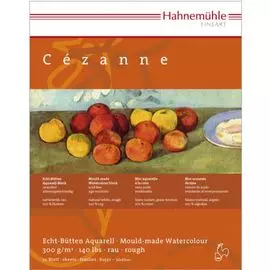 Альбом-склейка для акварели Hahnemuhle "Cezanne" 30х40 см 10 л 300 г хлопок 100% крупное зерно