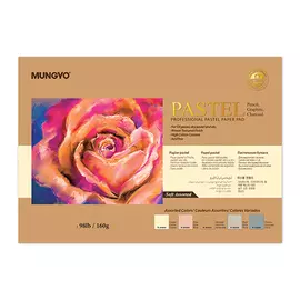 Альбом-склейка для пастели MUNGYO "Pastel" А3 20 л 160 г (5 цветов х 4 листа)
