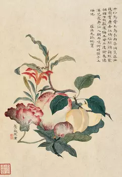 Блокнот "Абрикос, инжир, персик, лилия"