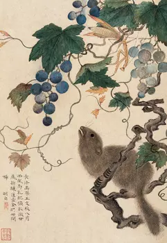 Блокнот "Белка, виноград, богомолы"