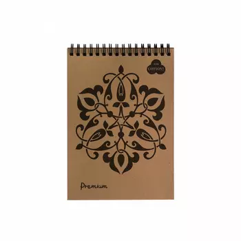 Блокнот для пастели Лилия Холдинг "Premium" А5 30 л на пружине (бежевый) "Late"