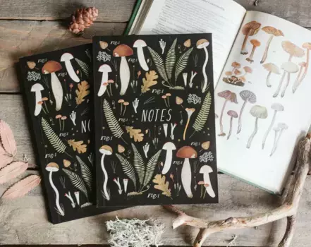 Блокнот Дворникова А. "Микология"