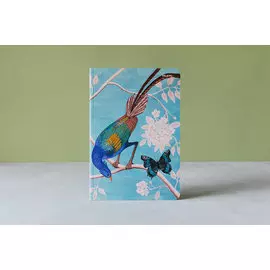 Блокнот FALAFEL BOOKS А5 Birds of paradise, 40л, 80г, без линовки