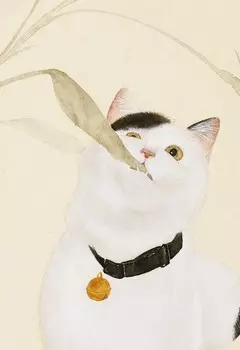 Блокнот Котик по кличке Миндаль 3