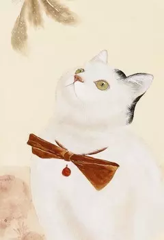 Блокнот Котик по кличке Миндаль 4