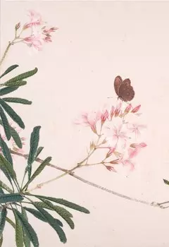 Блокнот Насекомые и цветы "Мотылёк"