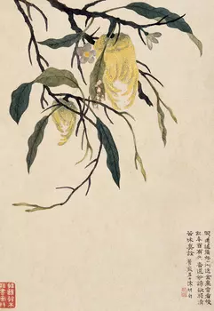 Блокнот "Желтые плоды Рука Будды"