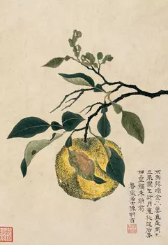 Блокнот "Желтый плод"