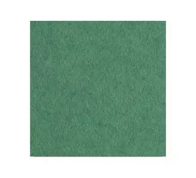 Бумага для акварели Лилия Холдинг лист 200 г Зеленый А2