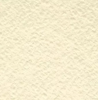 Бумага для акварели Лилия Холдинг лист 200 г Слоновая кость А4