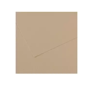 Бумага для пастели Canson "MI-TEINTES" 50x65 см 160 г №343 перламутр