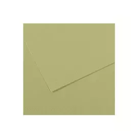 Бумага для пастели Canson "MI-TEINTES" 50x65 см 160 г №480 светло-зеленый