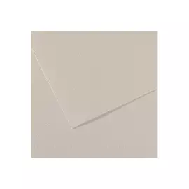 Бумага для пастели Canson "MI-TEINTES" 75x110 см 160 г №120 жемчужно-серый