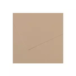 Бумага для пастели Canson "MI-TEINTES" 75x110 см 160 г №343 серо-бежевый