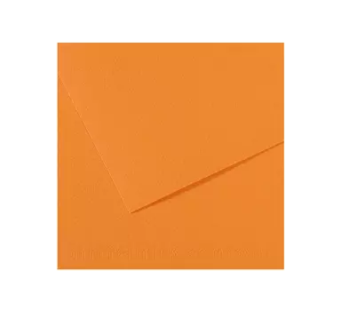Бумага для пастели Canson "MI-TEINTES" 75x110 см 160 г №384 буйволовая кожа