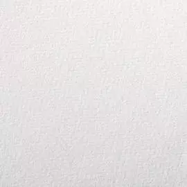 Бумага для пастели Clairefontaine "Etival color" 50x65 см, 160 г белый