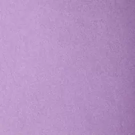 Бумага для пастели Clairefontaine "Etival color" 50x65 см, 160 г фиолетовый светлый