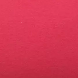 Бумага для пастели Clairefontaine "Etival color" 50x65 см, 160 г фуксия