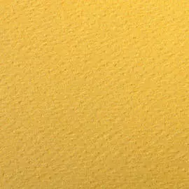 Бумага для пастели Clairefontaine "Etival color" 50x65 см, 160 г лютик