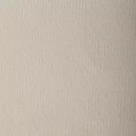 Бумага для пастели Clairefontaine "Etival color" 50x65 см, 160 г серая нить