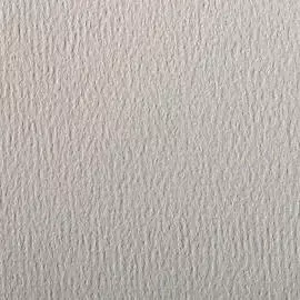 Бумага для пастели Clairefontaine "Etival color" 50x65 см, 160 г светло-серый