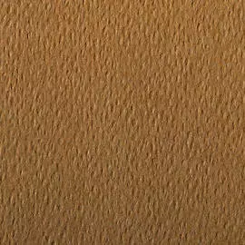 Бумага для пастели Clairefontaine "Etival color" 50x65 см, 160 г табак
