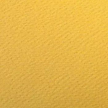 Бумага для пастели Clairefontaine "Etival color" 75x110 см, 160 г лютик