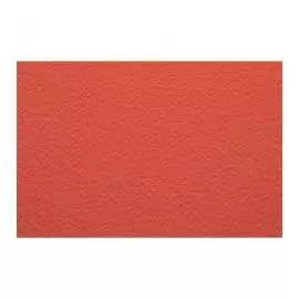 Бумага для пастели Fabriano "Cartacrea" 35x50 см 220 г №108 оранжевый