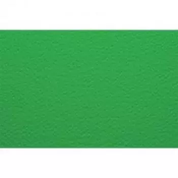 Бумага для пастели Fabriano "Cartacrea" 35x50 см 220 г №110 светло-зеленый