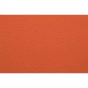 Бумага для пастели Fabriano "Cartacrea" 35x50 см 220 г №126 арагоста