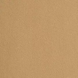 Бумага для пастели Hahnemuhle "Velour" 50x70 см, 1л, 260 г цвет песочный