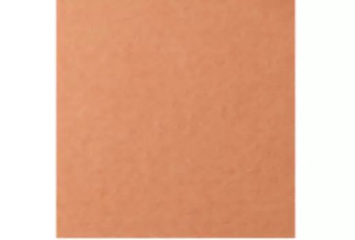 Бумага для пастели Lana "COLOURS" 50x65 см 160 г охра