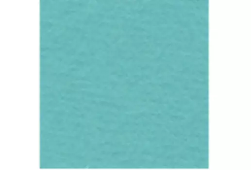 Бумага для пастели Lana "COLOURS" 50x65 см 160 г мята