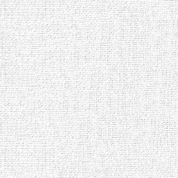 Бумага для пастели "Палаццо" 21x29,7 см 160 г белоснежный