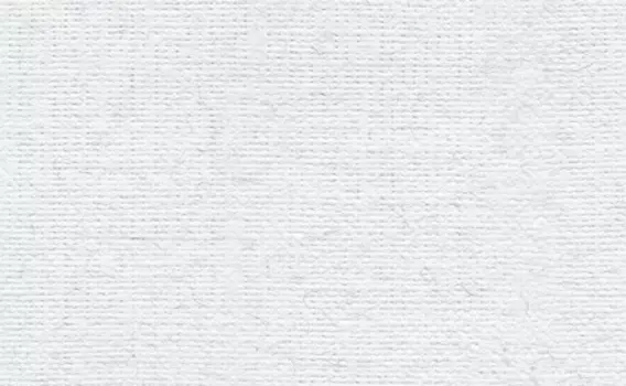 Бумага для пастели "Палаццо" 35x50 см 160 г лед