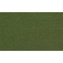 Бумага для пастели "Палаццо" 50x70 см 160 г тёмные джунгли