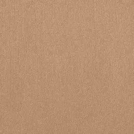 Бумага для пастели "Палаццо" 70x100 см 160 г бежевый