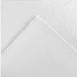 Бумага для смешанных техник Canson "ARTIST MIX MEDIA" 50х65 см 300 г