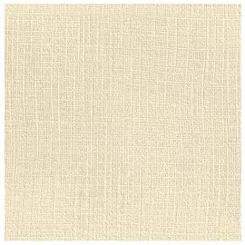 Бумага карточная тисненая Лилия Холдинг "Лен палевый" 260 г 60х84 см