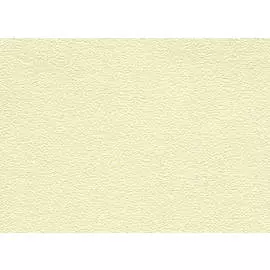 Бумага карточная тисненая Лилия Холдинг "Скорлупа" 62х94 см 200 г, палевая