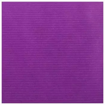 Бумага Крафт Canson рулон 0,68х3 м 65 г Фиолетовый