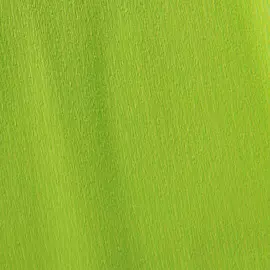 Бумага крепированная Canson рулон 50х250 см 32 г №19 Ярко-салатовый