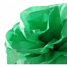 Бумага шелковая Canson рулон 0,5х5 м Светло-зеленый