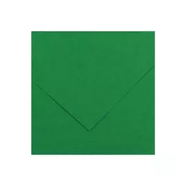 Бумага тонированная Canson "Iris Vivaldi" 50х65 см 120 г №30 зеленый мох