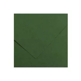 Бумага тонированная Canson "Iris Vivaldi" А4 240 г №31 темно-зеленый