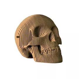 Череп "Роджер"