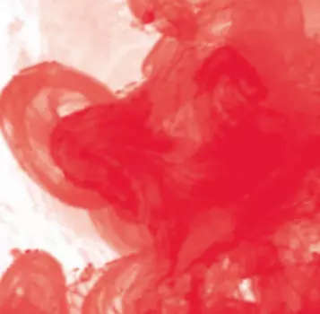 Чернила акриловые Daler-Rowney "FW ARTISTS" 29,5 мл Красная огненная