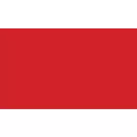 Чернила акриловые Talens "Amsterdam" 30 мл №399 Красный нафтоловый темный